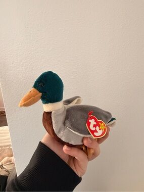 TY Beanie Plush Mallard Duck - Green, Gray, Brown